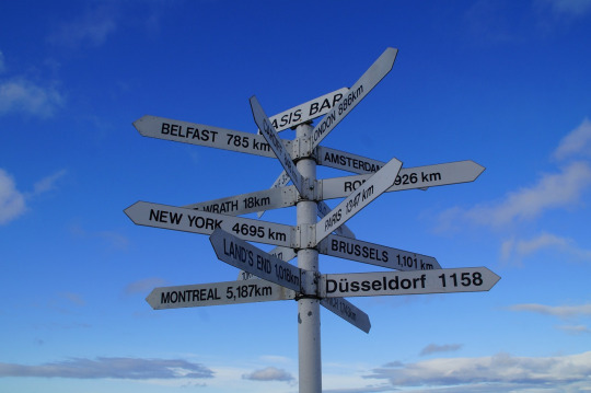 free will choice path